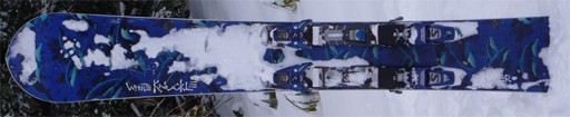 monoski.jpg