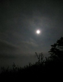 moon.jpg